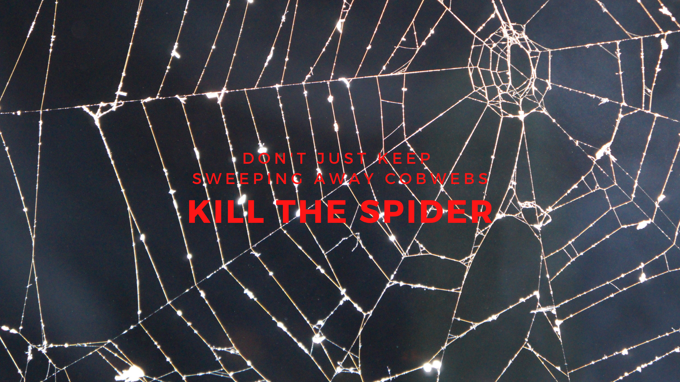 Kill the Spider