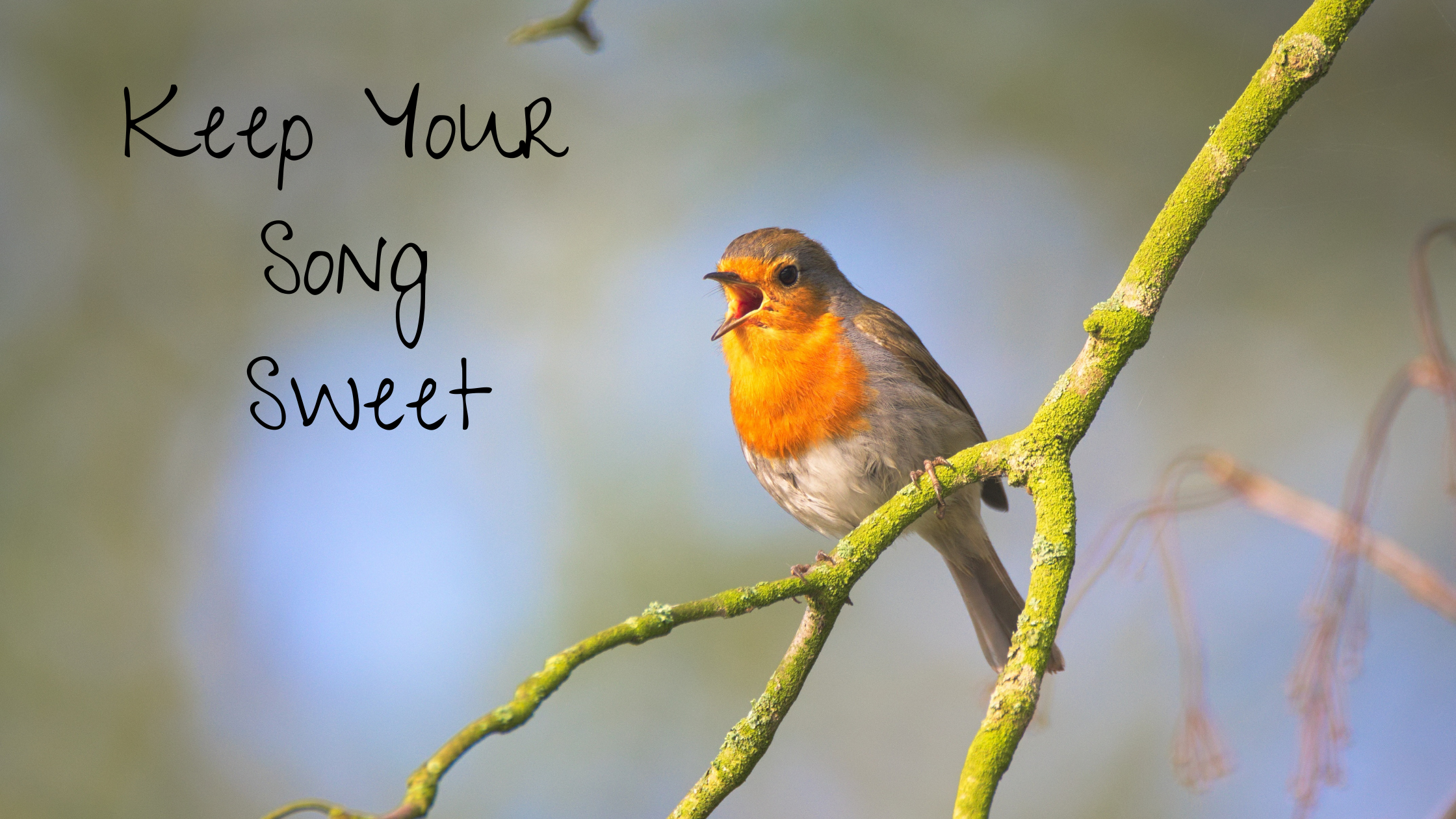Keep Your Song Sweet